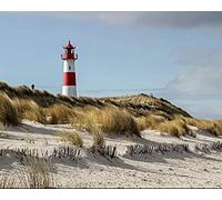 Pintar por numeros Adultos Faro de arte junto al mar Pintura al óleo de Bricolaje Lienzo niños y Principiante Paint Pintura decoración del hogar Arte Regalo 40x50 cm -Sin marco