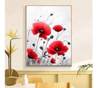 Pintar por Numeros Adultos Flor Amapola, Pintar por Numeros, Kit de Pintura al óleo de Lienzo DIY, Manualidades Adultos, con 3-Pinceles y Pigmento Acrílico, Decoración Hogar Regalo 20x30cm w6t-895