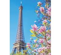 Pintar por Numeros Adultos, Flor Painting by Numbers Kits Manualidades Adultos, Cuadros para Pintar por Numeros Torre Eiffel Kit Pintura Niños, Decoración para el Hogar 20x30 cm (Sin Marco) O-5372