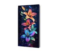 Pintar por Numeros Adultos flor universo Pintar por Numeros Niños Principiantes Manualidades kit, con Lienzo sin Arrugas, 3 Pinceles y Pintura Acrílica, para Regalo Decoración Hogar 40x80cm Y-631