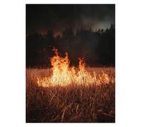 Pintar por Numeros Adultos Fuego DIY Cuadros Decoracion Salon Modernos Campo de trigo, Cuadros para Pintar por Numeros Niños 40x55 Cm, Kit Manualidades Adultos para Regalo Decoracion Pared LSJ-6986