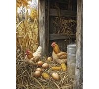 Pintar por Numeros Adultos Gallina Pintar por Numeros Niños 6 Años, DIY Manualidades Paint by Numbers Rural, Kit de Pintura con Pinceles y Pigmento Acrílico, Decoración del Hogar Regalo 45x60cm Y2-256