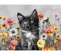 Pintar por Numeros Adultos, Gato Kit de Pintar por Números para Principiante al óleo de Lienzo DIY, Pintura Acrilica Manualidades Adultos, Margarita Paint by Number Kits, Decorar Hogar 90x130 cm O-549