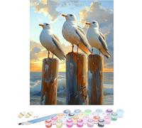 Pintar por Numeros Adultos Gaviota Cuadros para Pintar por Numeros Sea Kit Manualidades Adultos Paint by Numbers Adult DIY Lienzos Pintura Kit Para Decoración Del Hogar Sin Marco 40x60cm J-D135U