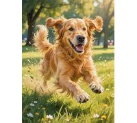 Pintar por Numeros Adultos Golden Retriever Pradera, Cuadros para Pintar con Numeros DIY, Kit de Pintura Acrílica Lienzo, Hobby Adultos Colorear, Cuadros Decoracion Salon Modernos 40x50cm YT6-116