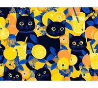 Pintar por Numeros Adultos, Kit de Pintura al óleo de Lienzo DIY Para Adulto Principiantes, Pintura por Numeros Adultos con Pinceles Pigmento, Manualidades Adultos 50 x 60 cm historietas fruta 0F-552