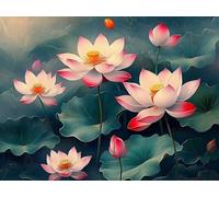 Pintar por Numeros Adultos Loto Pintar por Numeros Niños 6 Años, DIY Manualidades Paint by Numbers Flores, Kit de Pintura con Pinceles y Pigmento Acrílico, Decoración del Hogar Regalo 20x30cm Y2-956