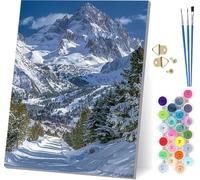 Pintar por Numeros Adultos MontañA, Pintar por Numeros Escena De Nieve, DIY Manualidades Adultos, Paint by Numbers Adult Kit con Pinturas Acrílicas y Pinceles, Decoración Hogar Regalo 40x50cm Y-5371