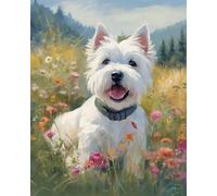 Pintar por Numeros Adultos Niños Pintura por Numeros con Pinceles Lienzo y Pinturas Acrilicas,Perro terrier de las tierras altas del oeste,DIY Kit Conjunto Completo de Pinturas para el Hogar Cuadros
