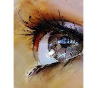 Pintar por numeros Adultos Ojos cristalinos Pintura al óleo de Bricolaje Lienzo niños y Principiante Paint Pintura decoración del hogar Arte Regalo 40x50 cm(Sin Marco)