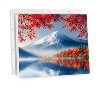 Pintar por Numeros Adultos Paisaje DIY Pintar por Numeros con Marco, Lago 2 Paint by Number Kits con Pinceles y Pigmento Acrílico, Manualidades Adultos Regalo Mujer, Decoracion Hogar 40x40cm 0k-228