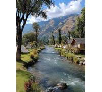 Pintar por Numeros Adultos Paisaje, DIY Pintar por Numeros Manualidades Adultos áRbol, Paint by Numbers kits con Pinceles y Pinturas Acrílicas, Decoracion Pared, Decoracion Primavera, 40x50cm D-6258