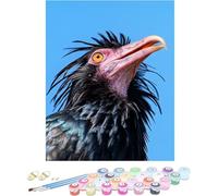 Pintar por Numeros Adultos PáJaro Cuadros para Pintar por Numeros Animal Kit Manualidades Adultos Paint by Numbers Adult DIY Lienzos Pintura Kit Para Decoración Del Hogar Sin Marco 50x80cm X-912DO