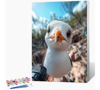 Pintar por Numeros Adultos PáJaro Cuadros para Pintar por Numeros Animal Paint by Numbers Adult DIY Manualidades Adultos Kit Lienzo Pintura Para Decoración Del Hogar Sin Marco 70x100cm 0-C080