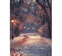 Pintar por Numeros Adultos, Parque, Principiantes DIY Painting by Numbers Kits, Farolas, Cuadros para Pintar por Numeros Pinturas Acrilicos Regalo Creativo, Decoración Hogar 40x50cm Sin Marco n0n0-712