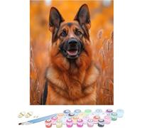 Pintar por Numeros Adultos Perro Cuadros para Pintar por Numeros Animal Kit Manualidades Adultos Paint by Numbers Adult DIY Lienzos Pintura Kit Para Decoración Del Hogar Sin Marco 60x90cm 9-D5553