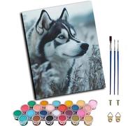 Pintar por Numeros Adultos Perro, Pintar por Numeros con Marco Animal, DIY Paint by Numbers Adult Kit con Pinceles y Pigmento, Paint by Numbers Para Cuadros Decoracion Salon Modernos 20x30cm 0-5758