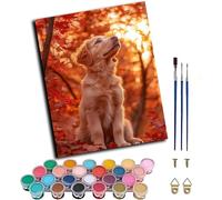 Pintar por Numeros Adultos Perro, Pintar por Numeros con Marco Sunset, DIY Paint by Numbers Adult Kit con Pinceles y Pigmento, Paint by Numbers Para Cuadros Decoracion Salon Modernos 20x30cm 0-2274