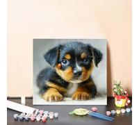 Pintar por Numeros Adultos Perro Pintar por Numeros Insecto Paint by Numbers, DIY Manualidades Adulto, Kit de Peinture sur Toile Couleur con Accesorios, Decoración Del Hogar 50x50cm Sin Marco Y-28BA