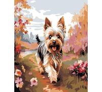 Pintar por Números Adultos,Perro Yorkshire Terrier corriendo sobre el césped,Kit de Pintura al óleo de Lienzo DIY con Pinceles y Pinturas Kit,Manualidades Adultos Decor Hogar,40x50cm sin borde