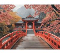 Pintar por Numeros Adultos, Pintar por Numeros Casas Painting by Numbers Edificios Antiguos Paint by Numbers Adult Manualidades con Pinceles Pintura Acrilica para Decoracion Pared 50x40 cm -yym25012A0