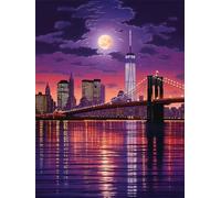 Pintar por Numeros Adultos, Pintar por Numeros Ciudad Puente Arquitectura, Pintura por Numeros Adultos Grande 30x40 cm, Paint By Numbers Kits con Pinceles y Pinturas Acrílicas (Sin Marco) -YH1292