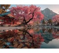 Pintar por Numeros Adultos, Pintar por Numeros Flores De Cerezo Painting by Numbers Edificios Antiguos Paint by Numbers Adult con Pinceles Pintura Acrilica, Decoracion Pared 70x50cm -yym250127Z