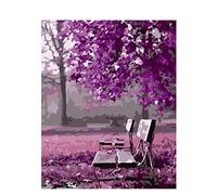 Pintar por Numeros Adultos - Pintura por NúMeros Con Pinceles y Pinturas Decoraciones,Paint by Numbers Kit,Cuadros por Numeros Lienzo Pintura con Numeros - Silla de parque morada 40x50cm sin Marco