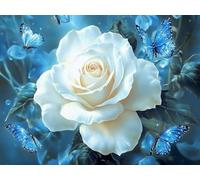 Pintar por Numeros Adultos, rosas planta, DIY Painting by Numbers Kits, Pintar por Numeros, Fácil de Hacer, con 3 Pinceles, Pigmento Acrílico, Regalos Originales para Mujer, Decoración 20x30cm J0-1025