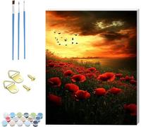 Pintar por Numeros Adultos Sunset, Cuadros para Pintar por Numeros con Marco Paisaje, DIY Manualidades Adultos Kit con 3 Pinceles, Paint by Numbers Adult para Decoración Hogar Regalo 20x30cm S-5700