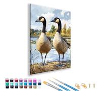 Pintar por Numeros Animal, Manualidades Adultos Cuadros para Pintar por Numeros, DIY Painting by Numbers Pato Kit con Pinceles y Pinturas Acrilicos, Decoracion Hogar, Regalo Mujer 30 x 40 cm A-3