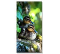 Pintar por Numeros Animal Pato(2), Grande Manualidades Adultos Painting by Numbers Kits, Pintar por Numeros Principiantes, DIY Kit Pintura al óleo de Lienzo con Pinceles, Decor Hogar 20x40cm s0h-110