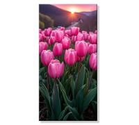 Pintar por Numeros Atardecer Tulipán, Grande Manualidades Adultos Painting by Numbers Kits, Pintar por Numeros Principiantes, DIY Kit Pintura óleo de Lienzo con Pinceles, Decor Hogar 20x40cm s0h-945