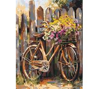 Pintar por Numeros Bicicleta, 45x60cm Kit de Pintura por Números para Adultos y Niños al óleo de Lienzo DIY, Cuadros por Numeros Moderna, Flor Pintura por Números con Decoraciones para Hogar y Regalo