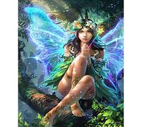 Pintar por Numeros Chica Elfo Mariposa DIY Cuadro al óleo con números para Kit de Pintura al óleo Digital para Adultos y niños de Lienzo decoración para el hogar 40x50cm Sin Marco