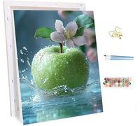 Pintar por Numeros con Marco Fruta Pintar por Numeros Flor, DIY Manualidades Adultos, Paint by Numbers Adult con Pinceles y Pigmento, Cuadros Decoracion Salon Modernos, Regalo Mujer 30x40cm 6-7930