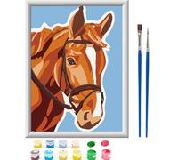 Pintar por Numeros con Marco Manualidades Niños 5 6 7 8 9 10 11 Años Animales DIY Kit Cuadros Pintura Paint by Numbers Painting Números Regalos Regalo Cumpleaños Infantil Pasatiempos