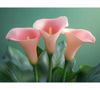 Pintar por Numeros DIY Lienzos para Pintar flor Manualidades Adultos Paint by Numbers Adult, Painting by Numbers Plantas (8) Colorear por Números Lienzos, Home Decoration, Without Frame, 50x70cm m-234