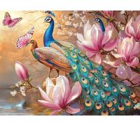 Pintar por Numeros DIY Lienzos para Pintar pavo real Manualidades Adultos Paint by Numbers Adult, Painting by Numbers flor Colorear por Números Lienzos, Home Decoration, Without Frame, 50x70cm m-269