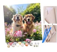 Pintar por Numeros Dos mariposas Golden retriever (8) Adultos Kit de Pintura al óleo de Lienzo DIY para con Pinceles Pigmento Acrílico 40 x 40cm (Sin Marco)