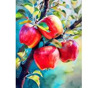 Pintar por Numeros Fruta Manzana Pintura por Numeros Niños, Principiantes Manualidades para Adultos Kit de Pintura al óleo de Lienzo para con Pinceles,Decoración Hogar Regalo 20x30cm (Sin Marco) q-907