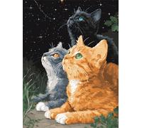 Pintar por Numeros gato Pintura por Numeros Adultos animal Paint by Numbers, DIY Paint by Numbers Canvas, Includes Complete Paint Kit, Regalos Mujer, Home Decoration, Without Frame, 50x70cm e-522