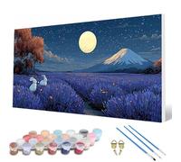 Pintar por Numeros Luna Pintar por Numeros Conejo Paint by Numbers Adult con 3 Pinceles y Pigmento Acrílico Manualidades Adultos para Decoracion Hogar Pared, Regalo Mujer 70X140 CM -hcw2507N62I1A1