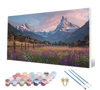 Pintar por Numeros MontañA Nevada Pintar por Numeros Paisaje Paint by Numbers Adult con 3 Pinceles y Pigmento Acrílico Manualidades Adultos para Decoracion Hogar, Regalo Mujer 100X300 CM -hcw2507O1