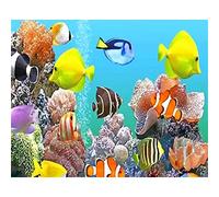 Pintar por Numeros para adultos,Animal del mundo submarino DIY Paint by numbers,Pintura por Números para Adultos Niños con Pinceles Acrílico Pigment Painting Decoraciones el Hogar(con Marco)50x65cm