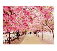 Pintar por Numeros para adultos,camino del bosque rosa DIY Paint by numbers,Pintura por Números para Adultos Niños con Pinceles Acrílico Pigment Painting Decoraciones para el Hogar(con Marco)40x50cm