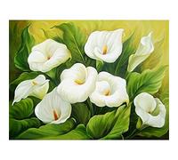 Pintar por Numeros para adultos,Flor de lirio blanco DIY Paint by numbers,Pintura por Números para Adultos Niños con Pinceles Acrílico Pigment Painting Decoraciones para el Hogar(con Marco)40x50cm