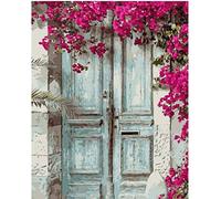 Pintar por Numeros para Adultos Niños, Puerta de madera azul flor Pintura por Números con Pinceles y Pinturas DIY Pintura al óleo Decoraciones para el Hogar Regalo 40x50cm Sin Marco ，regalo de Navidad