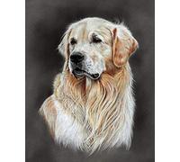 Pintar por números para adultos Niños, Retrato de animal de perro Golden retriever 16x20 pulgadas Lienzo DIY Número Kits de pintura Pintado a mano Pintura al óleo Arte de la pared Decoración Regalos
