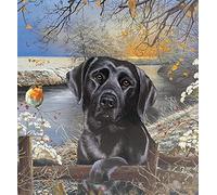 Pintar por Numeros Perro labrador negro Bricolaje Pintura al óleo para Colorear por números en Lienzo de Lino decoración de Arte de Pared 16x20 Inch sin Marco